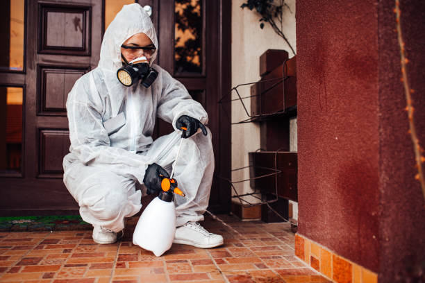 Reliable Cockroach Control contractor in Kibler, AR by Nex Pest Control